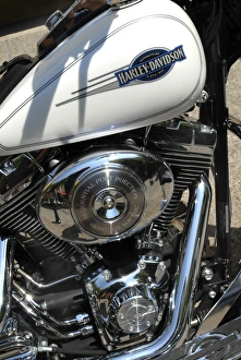 Imágenes fechadas en febrero de 2007: Motores de motocicleta