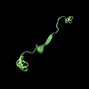 Imágenes fechadas en marzo de 2013: Molécula MUC7