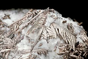 Imágenes fechadas en 2013: Plata nativa