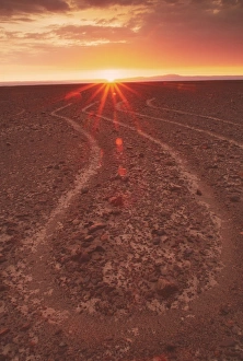 Impresiones de Las líneas de Nazca que representan parte del pierna de una araña vistas desde el suelo al amanecer. Hay cientos de geoglifos, o dibujos en la tierra, en el desierto costero del sur de Perú Imágenes de marzo de 2001: Líneas de Nazca