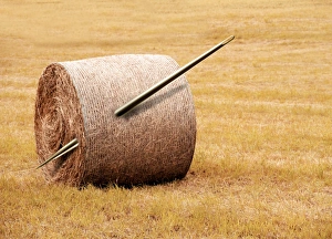 Conceptual Computer Artwork Imprime: Needle in a haystack, conceptual artwork
