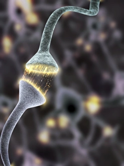 Neuron Communication Imprime: Nerve synapse, artwork