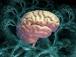 Brain Computer Artwork Imprime: Neural network, computer artwork