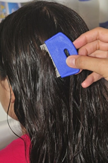 Impresiones de Cepillando el cabello de una niña joven con un cepillo de nito Imágenes fechadas en diciembre de 2010: Combina nitroglucinato de sodio y nitratos en una proporción que varía según la aplicación