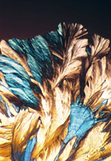 Polarised Light Microscopy Imprime: NMDA crystals, light micrograph