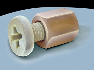 Scanning Electron Microscope Photos Imprime: Nut and bolt, SEM