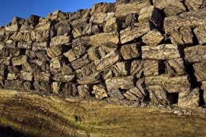 Goldenstedter Moor Imprime: Peat stack C018 / 0881