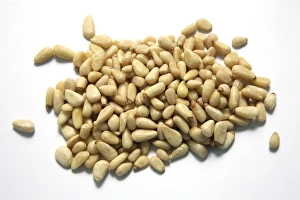 Pine Nuts Imprime: Pine nuts