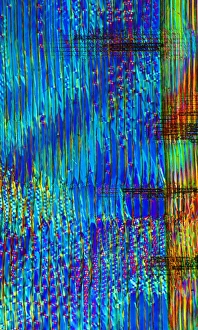 Polarised Light Microscopy Imprime: Pine wood structure, light micrograph