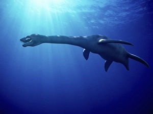 Prehistoric Sea Creatures Imprime: Plesiosaur