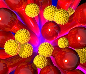 Pollen Transfer Mechanism Imprime: Pollen
