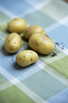 New Potatoes Imprime: Potatoes