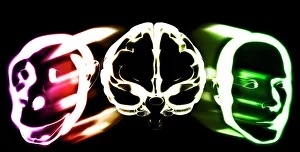 Impresiones de La evolución del cerebro primate Imágenes fechadas en enero de 2005: Evolución del cerebro primitivo