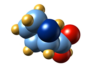 Amino Acid Structure Imprime: Proline, molecular model