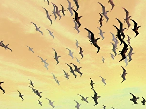 Cretaceous Period Creatures Imprime: Pterosaurs