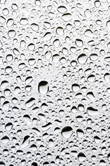 Window Pane Raindrops Imprime: Raindrops on a window pane