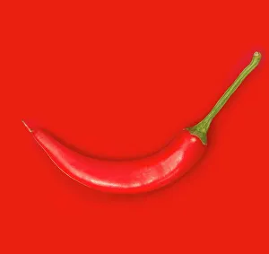 Red Chilli Pepper Imprime: Red Chilli