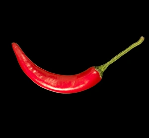 Imágenes fechadas el 12 de agosto de 2009: Pimienta de chile rojo