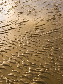 Coastal Erosion Images Imprime: Rippled sand in regular pattern
