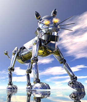 Imágenes fechadas en abril de 2012: Gato robot