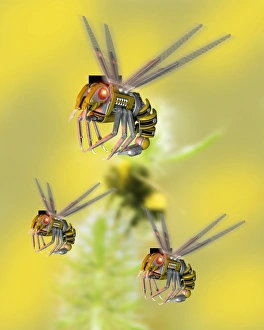 Impresiones de Los robotas hormigas. Arte de computadora basado en el diseño de una abeja. En la distancia se puede ver a un abejorro orgánico Imágenes de mayo de 2006: Insectos robóticos