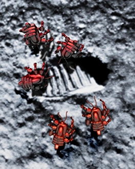 Lunar Surface Exploration Imprime: Robots on the Moon
