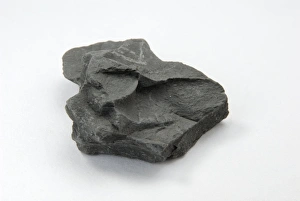 Calcium Carbonate Fossils Imprime: Sample of shale