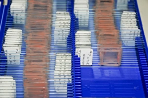 Laboratory Equipment Photos Imprime: Sample Sides in a lab