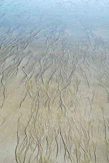 Low Tide Beach Imprime: Sand patterns