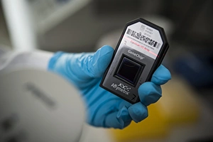 Escaneando el arreglo genético de la matriz microarrayada C019/0286