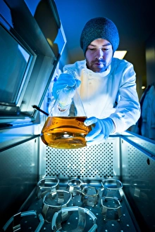 Scientist At Work Imprime: Scientist using sample agitator