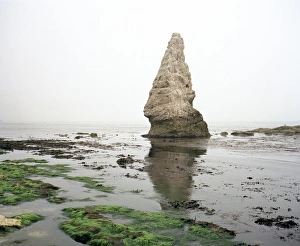 Dorset Coast Imprime: Sea stack