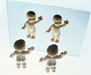 Imágenes de septiembre de 2002: Self-recognition