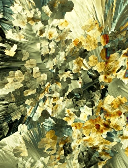 Polarised Light Microscopy Images Imprime: Serotonin crystals, light micrograph