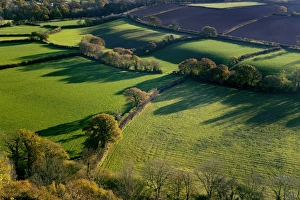 English Autumn Landscapes Imprime: Shadows across fields, Devon, UK