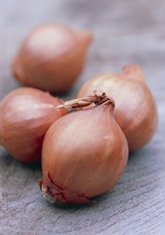 Wooden Surface Still Life Imprime: Shallots