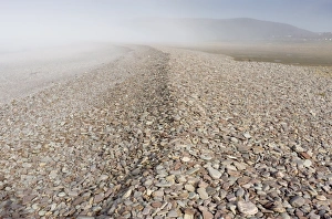 British Seaside Scene Imprime: Shingle on a beach