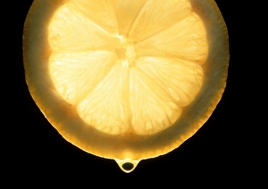 Lemon Slice Imprime: Slice of lemon