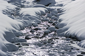 Alpine Winter Scenery Imprime: Snow and stream
