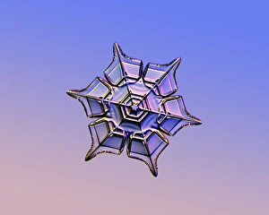 Ice Crystal Formation Imprime: Snowflake, light micrograph
