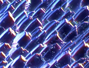 Environmentally Friendly Power Generation Imprime: Solar cell, micrograph