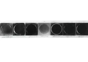 Solar Eclipse Photography Imprime: Total solar eclipse, 1860