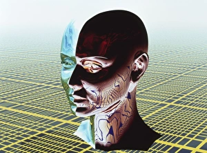 Impresiones de La personalidad dividida. Arte conceptual de computadora de dos lados de una cabeza humana, representando una personalidad dividida Imágenes de julio de 2001: Personalidad dividida