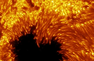 Cosmology Images Imprime: Sunspot