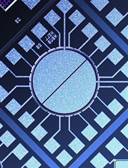 Light Micrograph Images Imprime: Surface of microchip, light micrograph C018 / 6389