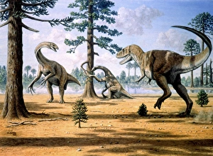 Large Carnivorous Dinosaurs Imprime: Tarbosaurus