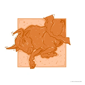 Astrology Illustrations Imprime: Taurus