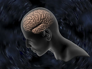Central Nervous System CNS Imprime: Thinking, computer artwork