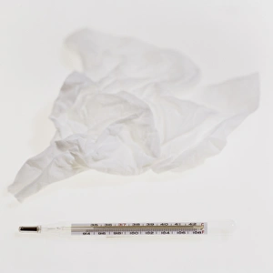 Medical Thermometer Imprime: Tissue and thermometer