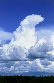 Cumulonimbus Clouds Imprime: Towering cumulus clouds